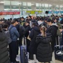 강풍 동반 눈보라 - 제주국제공항 결항 속출 이미지