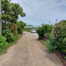 신산리-6 이미지