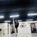 다산 용인대 수호태권도 이미지