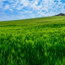 천북목장 이미지