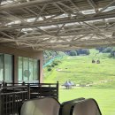 스카이 B동 | 홍천 소노벨 비발디파크 B동 패밀리오크 스탠다드 침대 취사룸 / 리조트 시설 후기