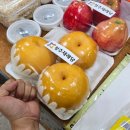 음성위생사