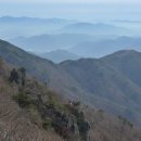 의령-의령-의령-D-6 이미지