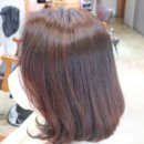 강남대로10길 55 이미지