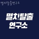 멸치탈출연구소 이미지