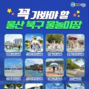 신기어린이소공원