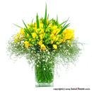 후리지아 이미지