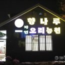 자연농원생오리 이미지