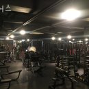 짐어스 | 개포동헬스장 짐어스 업체 정보 후기