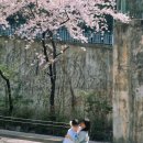 모모의시간 | 하연필름 모모의 동화 후기:필름 보정과 시크릿 박스까지 받은 서울커플 스냅