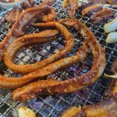 신산호아나고곰장어
