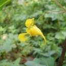 산이야기 이미지