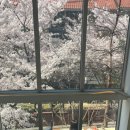 프루프인더커피(proof in the coffee) 이미지