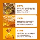꿀;헤어 네이버블로그
