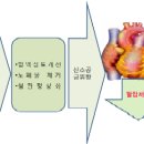 고혈압에 좋은 음식(고혈압을 낮추는 음식)과 치료의 원리 이미지