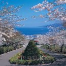 (주)슈퍼365마트 이미지