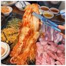 싱싱도야지 이미지