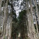 [22년제주] 겨울제주2일차 액티비티활동 (제주라프, 다이나믹제주) , 비밀의숲산책 그랜드조선호텔...