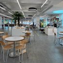 제주 보고정 투어 | 제주 서쪽여행 서귀포 신화월드근처 실내공연 아트서커스 &amp; 점보빌리지 [feat. 제주투어패스]