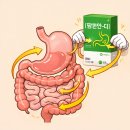 다제스팜 이미지