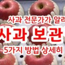 사과 보관방법 아삭하고 신선하게 사과보관법 이미지