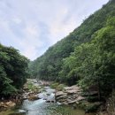 월송가든펜션1 이미지