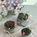 한국발포유리(주) | 발포세라믹 자격증 도우아트지도사 삼척에서 안산까지