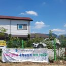 금관사과향기 이미지