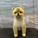 븜프그루밍 이미지