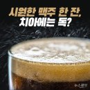 독 Daum카페