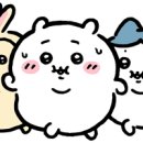 웨이브락 네이버블로그