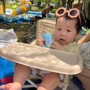 잭과 사과나무 | 과천 물놀이터 '잭과 사과나무 물놀이터' 오픈런한 후기/운영시간/꿀팁공유