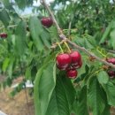 장흥슈퍼 이미지