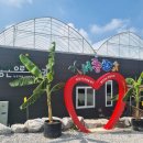 전라도농장 이미지