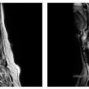 태릉입구역 2번출구 이미지