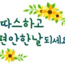 ~~~~~3월 1일 삼일절 휴무 공지~~~~~ 이미지