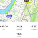 꽃물노래클럽 | 민트 페스티벌과 가을일상