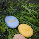 올인원 고체 바디워시 이미지