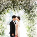 비아잔떼 이미지
