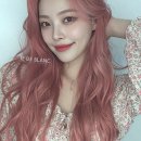 새로운 뷰티 | 내 스타일의 기준을 세우다: 새로운 뷰티 여정을 시작한 후기