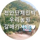 우리농원민박 이미지