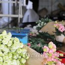 다모아농장 이미지