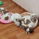 옹기종기 이미지