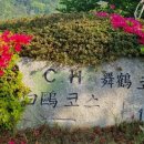 무학스크린골프 이미지