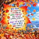 🍒카톡 인사글 - (1082) 이미지