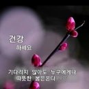건강한나라 - 충주시 | 건강한나라