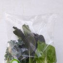 미래비전농장 이미지