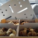 한신부화장 이미지