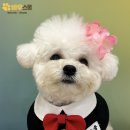 바우스쿨 이미지