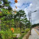 범어사 성보박물관(휴관) | 부산 금정구 가볼 만한 곳｜금정산 범어사 성보박물관 탐방기